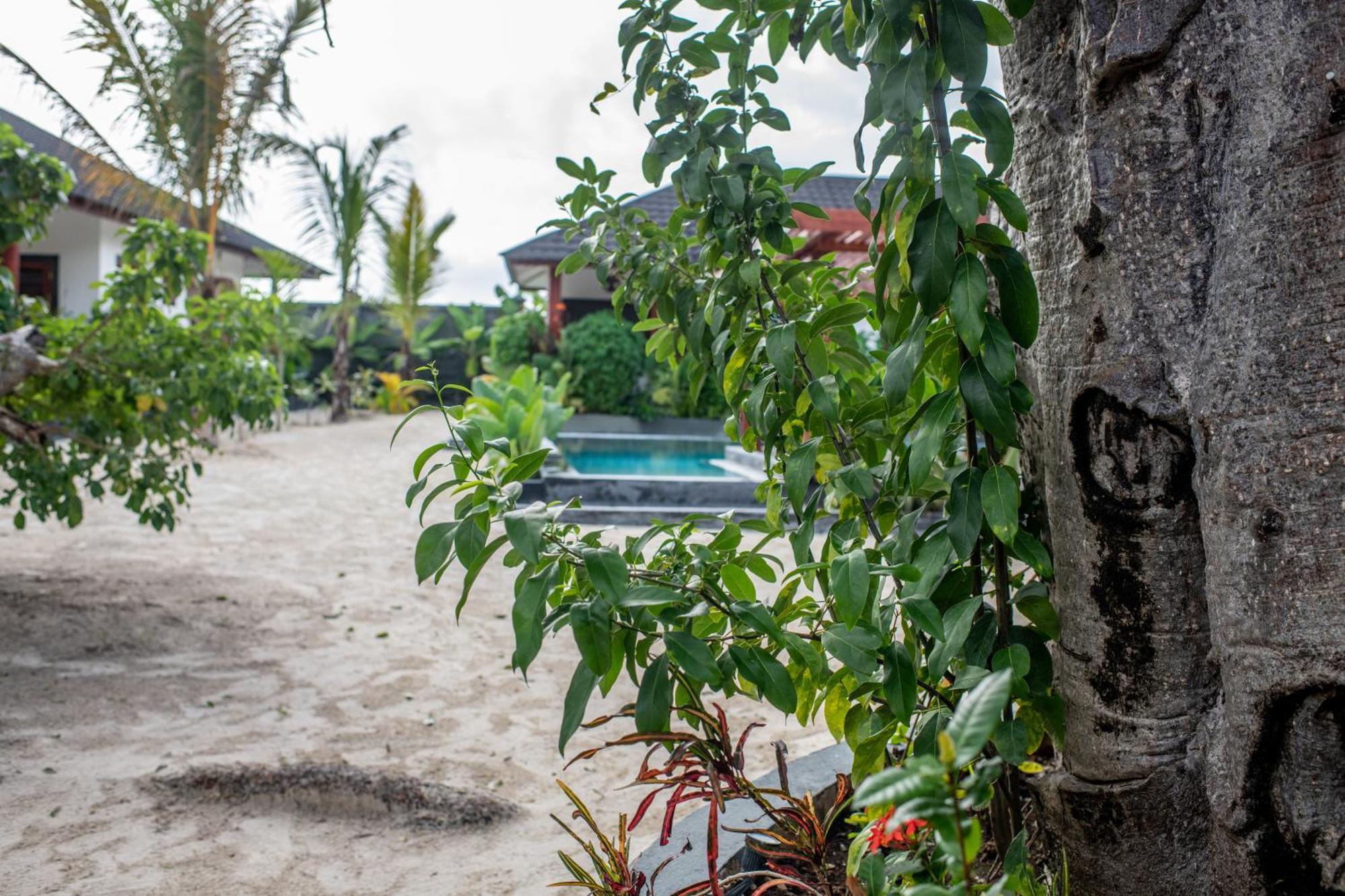 Baobab Bungalows Джамбиани Экстерьер фото